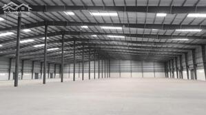 Cần Bán 7000M2 Đất Sổ Riêng Giá Bán 3.5 Triệu/M2, Xd Kho / Xưởng Tại P. Hòa Lợi, Tx Bến Cát, Bình Dương