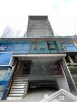 cần cho thuê gấp tòa nhà mới xây huỳnh thúc kháng, dt 80m2 x 9 tầng, thông sàn, thang máy. gía 55tr