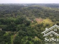 bán nhà vườn 32757m2 tại sông xoài - tp phú mỹ giá 49tỷ chỉ 1,5tr/m2