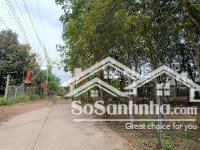 bán ngộp 2396m2 tc ngay trường c2 an linh sát đường dh mt đường thông dân đông. gọi 0325030897 (vy)