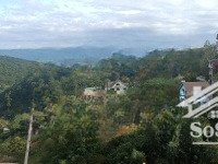 cần bán 1351m2 đất sổ riêng xd view đồi thông tuyệt đẹp ngay đầu tp đà lạt, giá cực tốt chỉ 29tr/m2