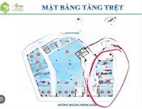 8 căn shophouse liền kề dòng tiền tốt 7% - 9% / năm. novaland garden gate