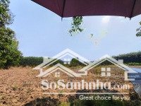 cô 5 cần sang tên 1150m2 sát kcn mới bd ngay chợ an thái mt đường thông rộng 12m. gọi 325030897(vy)