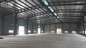 Cho Thuê Xưởng 5000M2 - 35.000M2 Gần Kcn Đại Đăng, Kcn Sóng Thần 3, Thủ Dầu Một, Bình Dương