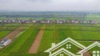 bán đất nền đấu giá xuân minh 2