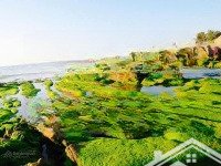 xây homestay gần các địa điểm du lịch, cách biển chỉ 800m thì đừng bỏ qua lô đất này