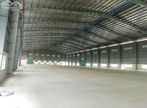 Bán kho, nhà xưởng, cây xăng 13.674m², giá tốt 58,5 tỷ tại Phước Trạch, Gò Dầu, Tây Ninh.
