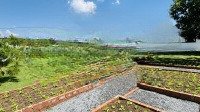 bán biệt thự bảo lâm 619m2. đường nhựa, view đẹp giá 5,4 triệu/m2 kết nối nút giao cao tốc chỉ 3km