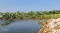 chính chủ gởi bán mảnh đất 1/ liên cảng mặt sông lớn ở phước an, nhơn trạch