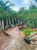 bán nhà vườn 518m² long phước, tp bà rịa vị trí đẹp, phát triển kinh doanh