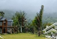biệt thự nghỉ dưỡng wealth valley 420m2 mt 20m 29tỷ