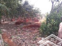 bán trang trại view đẹp tại sông xoài, phú mỹ, bà rịa vũng tàu, 64,032 tỷ, 16008 m2