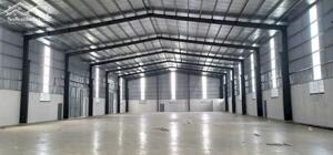 Cho thuê 1.200m2 kho nhà xưởng khu công nghiệp Trảng Nhật, Điện Bàn, Quảng Nam.