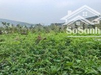 đất fo của nhà dân cắt bán giá nhỉnh 3tr/1m diện tích khoảng 4000m đất trích lục thổ cư và vườn
đị