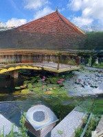 bán biệt thự sân vườn hồ cá koi vị trí đẹp tại tóc tiên, tp cảng phú mỹ , giá tl