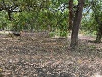 ngân hàng vib phát mãi nên thanh lý nhanh lô đất 18.000 m2 ngay trung tâm tp đồng xoài