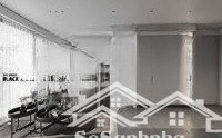 cho thuê căn hộ 2pn, 2wc, 95m2, giá siêu hời tại remax plaza, q6, hcm