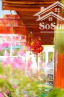 bán đất nghỉ dưỡng chính chủ tại sóc sơn hà nội giá 8 tỷ lh 0981288566