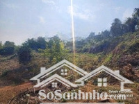 4000m/150m thổ cư view cực đẹp tại đồng bèn, đông xuân quốc oai
- dt 2279m có 150m ont. sử d