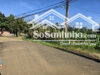 cho thuê đất lớn ngay tp. bảo lộc