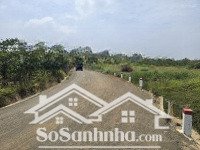 chính chủ cho thuê đất xã lộc thanh - tp. bảo lộc