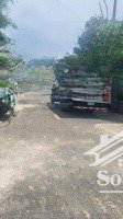 nhà 3 lầu mặt tiền đường số ngay chợ khiết tâm đường lê thị hoa thủ đức 112m bán gấp 6,x tỷ