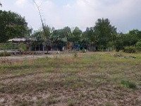 nhà vườn 3.937m2 mặt tiền đường bà thiên nhuận đức - củ chi chính chủ bán giá 20 tỷ lh : 0903065076