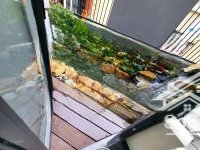 bán nhà 1 trệt 1 lầu có sân vườn đẹp phường bửu hòa biên hòa