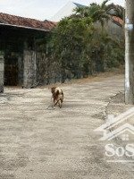 bán lô đất ven biển đẹp, phú thọ 3 đông hòa py, rộng 18m, dt 365m, đường ô tô 12tr/m, lh 0965646039