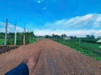 bán 1.9 hecta = 19.000 m2 đất mặt tiền nguyễn thị rành, xã an nhơn tây, củ chi.