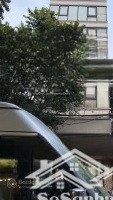 bán đất tặng nhà 6 tầng kinh doanh mặt phố láng hạ đống đa: 112m mt 5.5m giá 61tỷ.
