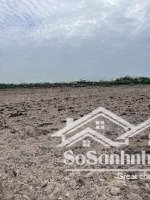 bán trang trại, khu nghỉ dưỡng tại đường 781, châu thành, tây ninh, giá ưu đãi 1,1 tỷ, 11000 m2