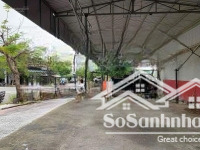 cho thuê lô góc mặt tiền mặc đăng dung - nguyễn hiến lê hòa xuân - đà nẵng