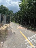 bán 355m2 đất tại vĩnh hòa, phú giáo, bình dương, giá 880 triệu sau ủy ban nd vĩnh hòa