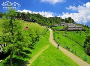 Cho thuê lâu dài 10.000m² đất TMDV tiền đường Non Nước, Quận Ngũ Hành Sơn, Tp Đà Nẵng.