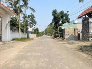 Bán lô đất 98m2 đường trục thôn Thọ Linh Minh Tân Kiến Thụy Hải Phòng