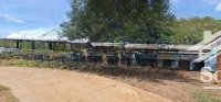 bán nhà đất vườn 15695m2 có 300m2 thổ cư, hẽm oto đường quãng thành, châu đức, brvt. chỉ 350tr/sào