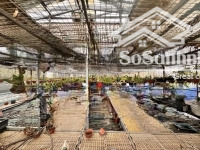 bán đất y ảnh, hoàng mai, ô tô tải 3 tấn, sát lĩnh nam, 400m2, 4.8 tỷ