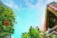 cần bán homestay tổng diện tích 5000m2. liên hệ 0986341441