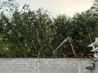 cho thuê nhà vườn mới xây đẹp, đầy đủ nội thất cao cấp. phù hợp ở nghỉ dưỡng/kinh doanh dịch vụ