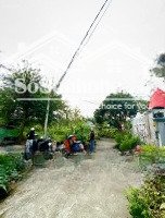 tôi cho thuê đất góc 2 mặt tiền ngay rừng sác, bình khánh, cần giờ. 172m2. giá 3 triệu/th dài hạn