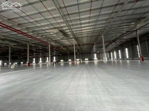 Cho thuê kho xưởng 15.000m2 Gò Dầu, Tây Ninh.