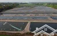 bán bđs đất đìa nuôi tôm cam thịnh đông tại bình tiên, giá thỏa thuận, 18000m2