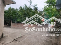 đất thổ cư xã tự nhiên, thường tín, diện tích 100m2, ngõ ô tô tải vào đất, gần vành đai 4, cao tốc.