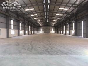 Cho thuê kho xưởng KCN Tân Quang, Văn Lâm, Hưng Yên. DT 1200m2, 4600m2