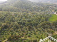 cần bán 3,5ha phù hợp làm trang trại,nhà vườn tại xã bình sơn tp sông công tỉnh thái nguyên