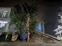 bán lô đất 1/ ngắn 50m . đường đặng thúc vịnh . xã thới tam thôn - huyện hốc môn. diện tích : 5 x