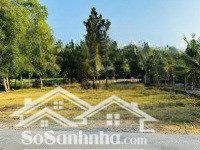 bán ngộp lô đất 333m2 ở khu phố an thới, phường an tịnh, trảng bàng, tây ninh - giá 650 triệu