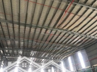 cho thuê kho xưởng kcn đức hòa , long an - diện tích lớn , tiện nghi, pccc tự động