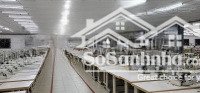 cho thuê xưởng may gần 20.000m2 kho nhà xưởng, văn phòng làm việc tại quảng nam